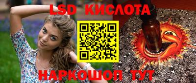 Альфа ПВП Аргун