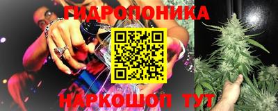 СК Апшеронск