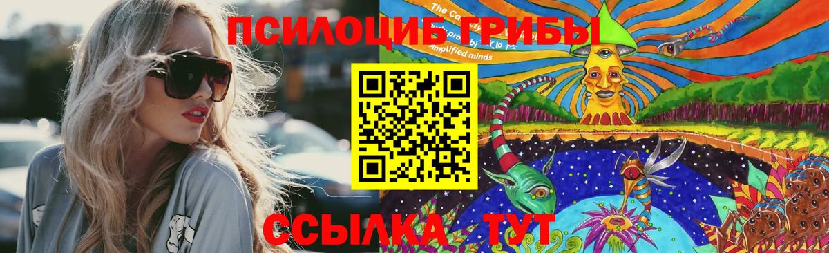 Галлюциногенные грибы Magic Shrooms Копейск