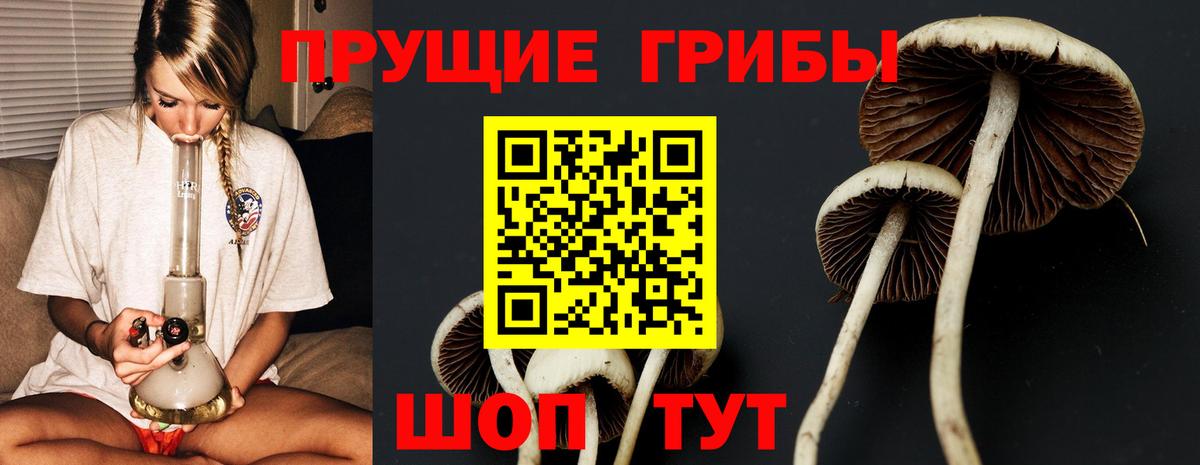 Псилоцибиновые грибы прущие грибы  Вход с VPN  Копейск 